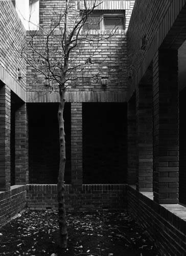 Photograph: Roman Ray